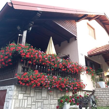 Apartment Vihor Zlatibor Extérieur photo
