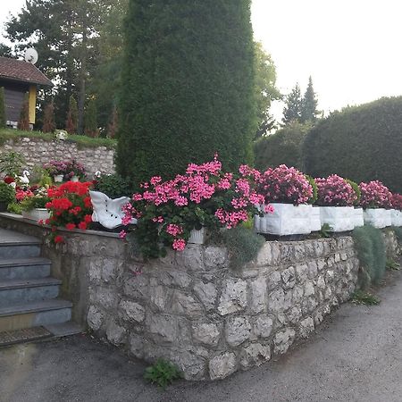 Apartment Vihor Zlatibor Extérieur photo