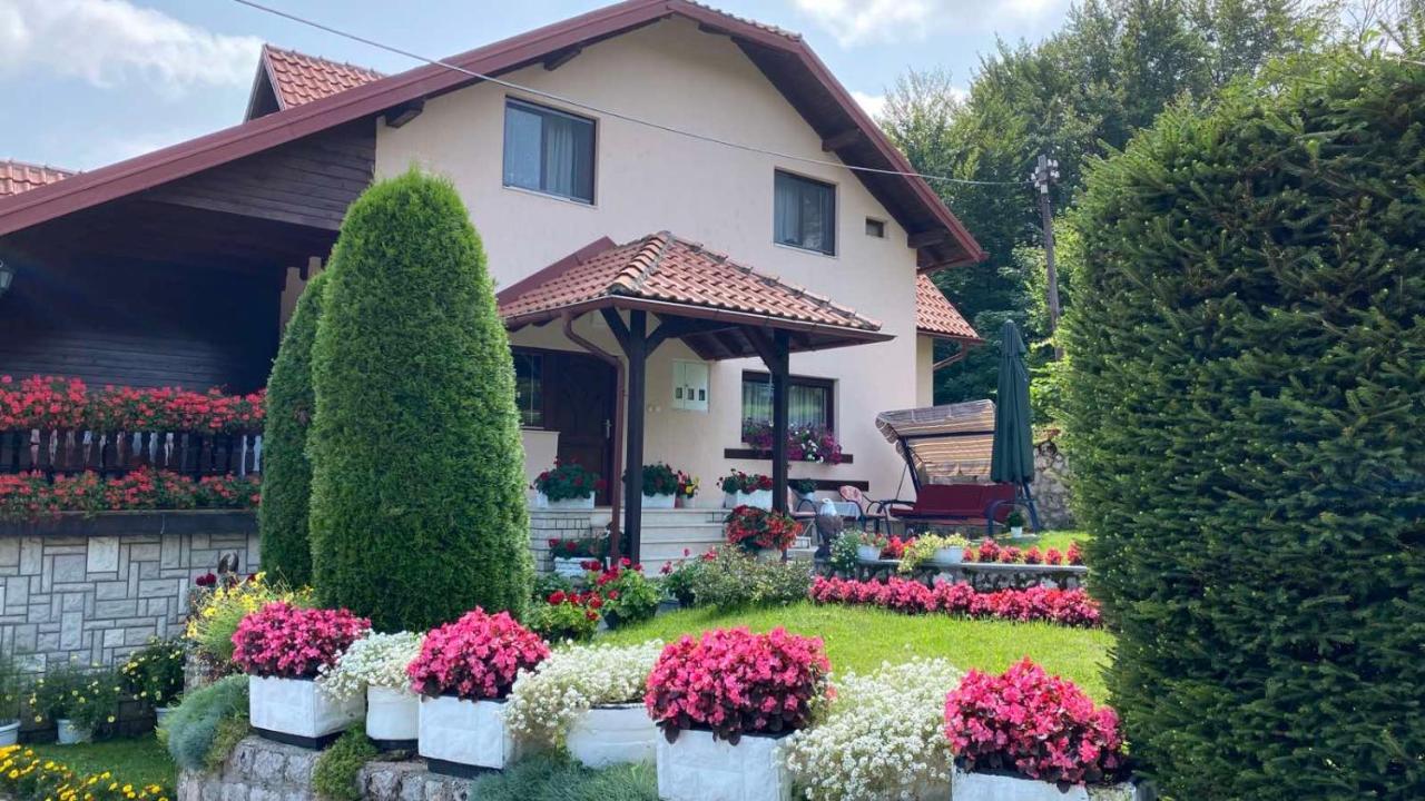 Apartment Vihor Zlatibor Extérieur photo