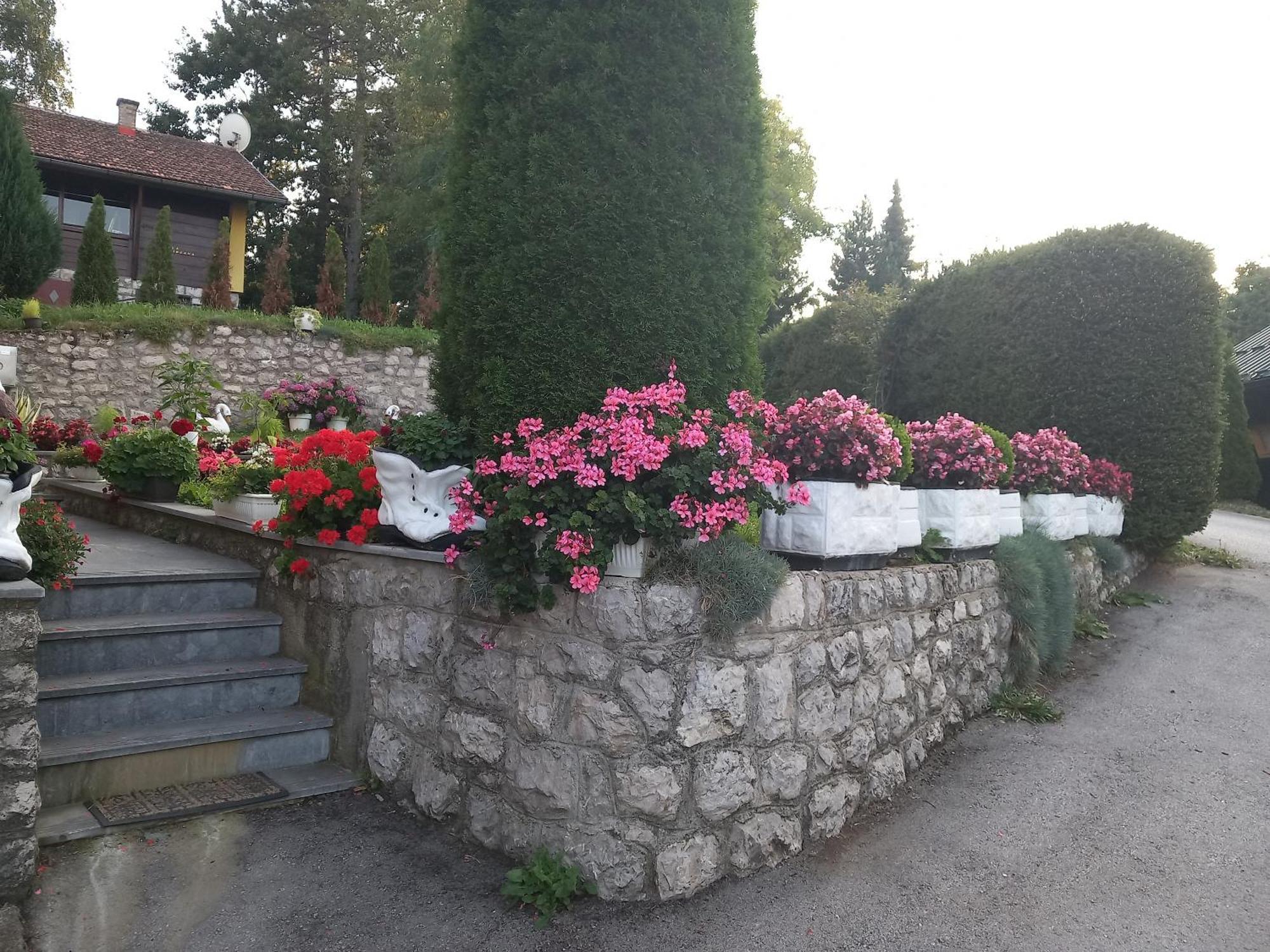 Apartment Vihor Zlatibor Extérieur photo