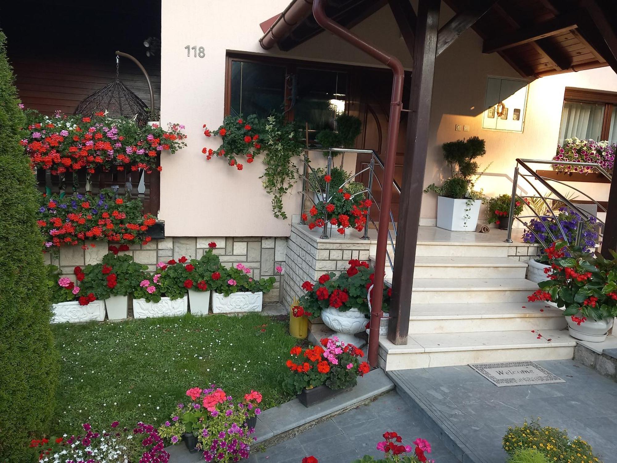 Apartment Vihor Zlatibor Extérieur photo