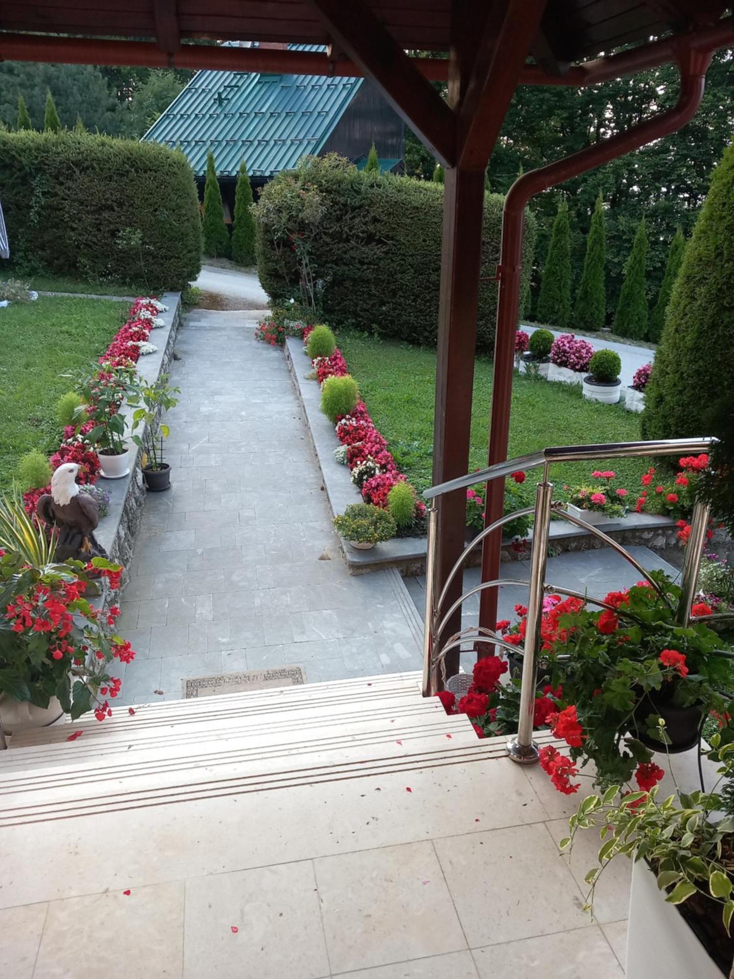 Apartment Vihor Zlatibor Extérieur photo